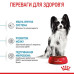 Royal Canin X-Small Puppy - корм Роял Канин для щенков миниатюрных пород