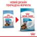 Royal Canin Maxi Starter - корм Роял Канин для щенков крупных пород, до 2 месяцев