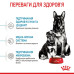Royal Canin Maxi Starter - корм Роял Канин для щенков крупных пород, до 2 месяцев
