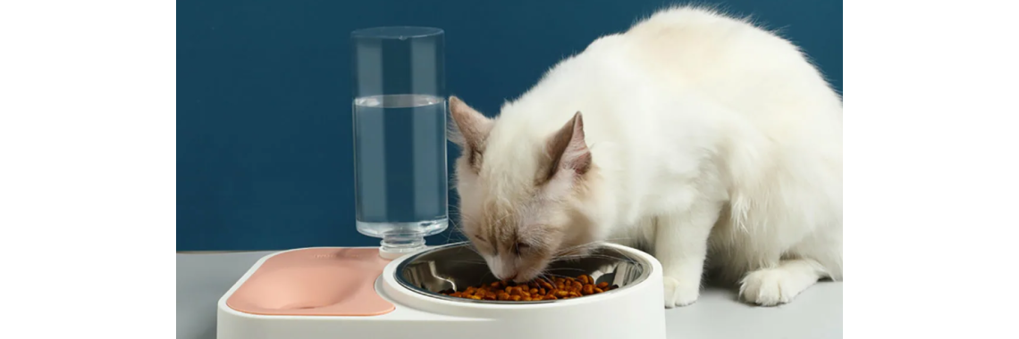 Автоматические поилки и кормушки